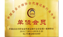 中國(guó)總會(huì)計(jì)師協(xié)會(huì)